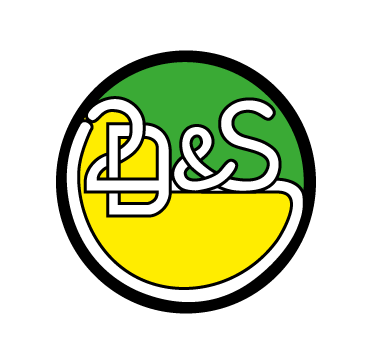 2DS_logo